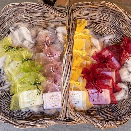 Tenuta Le Viste Bed & Breakfast Scandicci Dış mekan fotoğraf