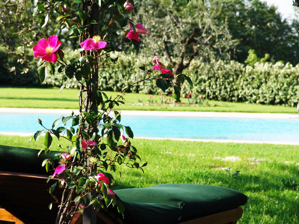 Tenuta Le Viste Bed & Breakfast Scandicci Dış mekan fotoğraf